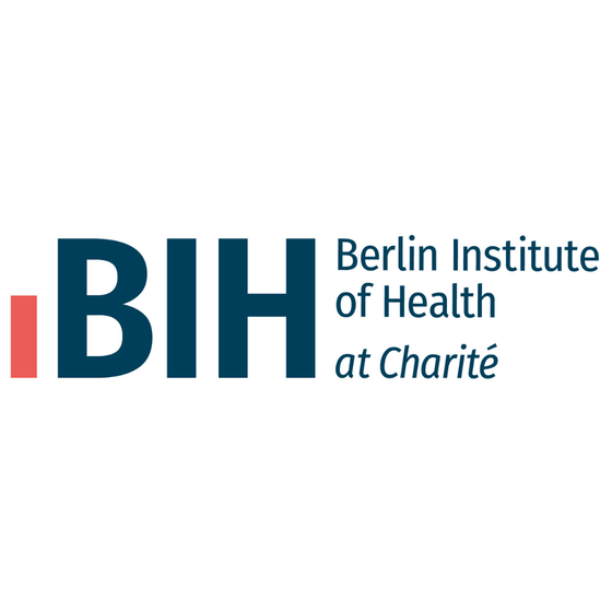 Logo BIH